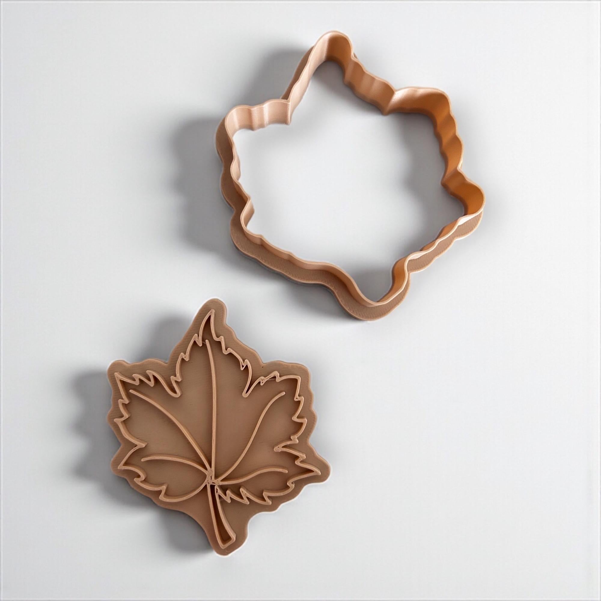Cookie Cutter Set of 4: Biscuit, Autumn - Clay Craft Tools.